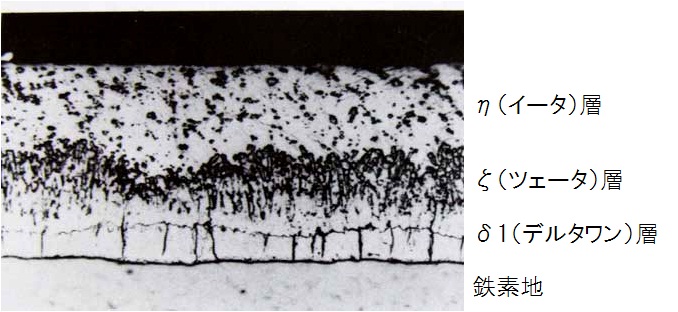 溶融亜鉛めっき層の断面構造