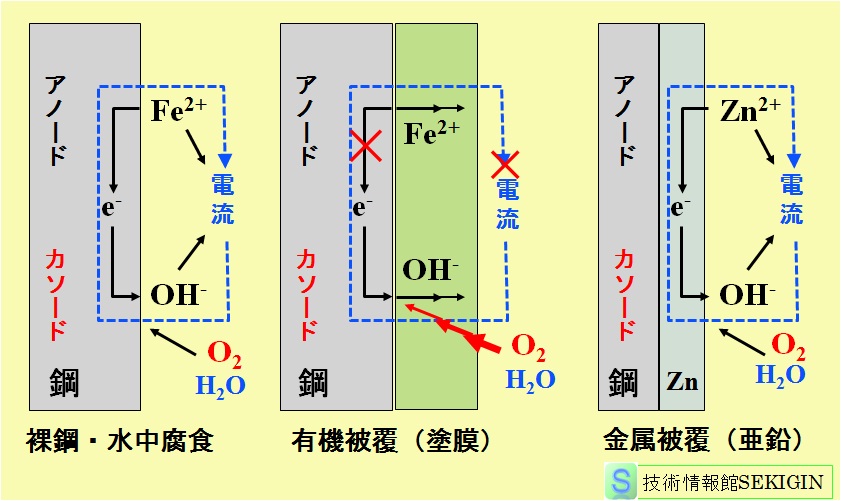 被覆鋼の水中腐食機構（模式図）