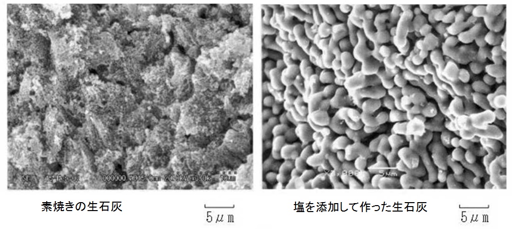 素焼き生石灰と塩焼き生石灰の拡大写真