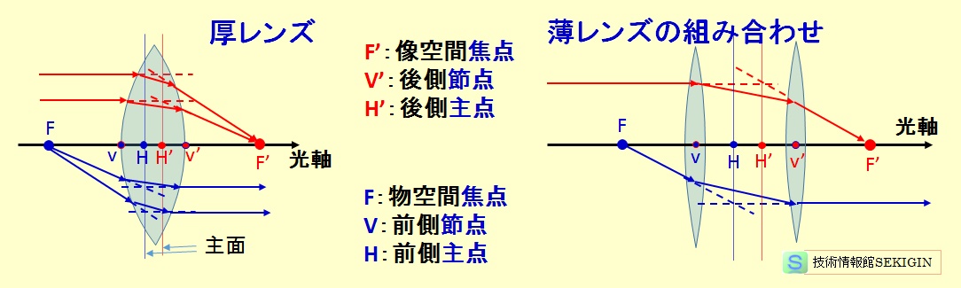 凸レンズの構造（模式図)